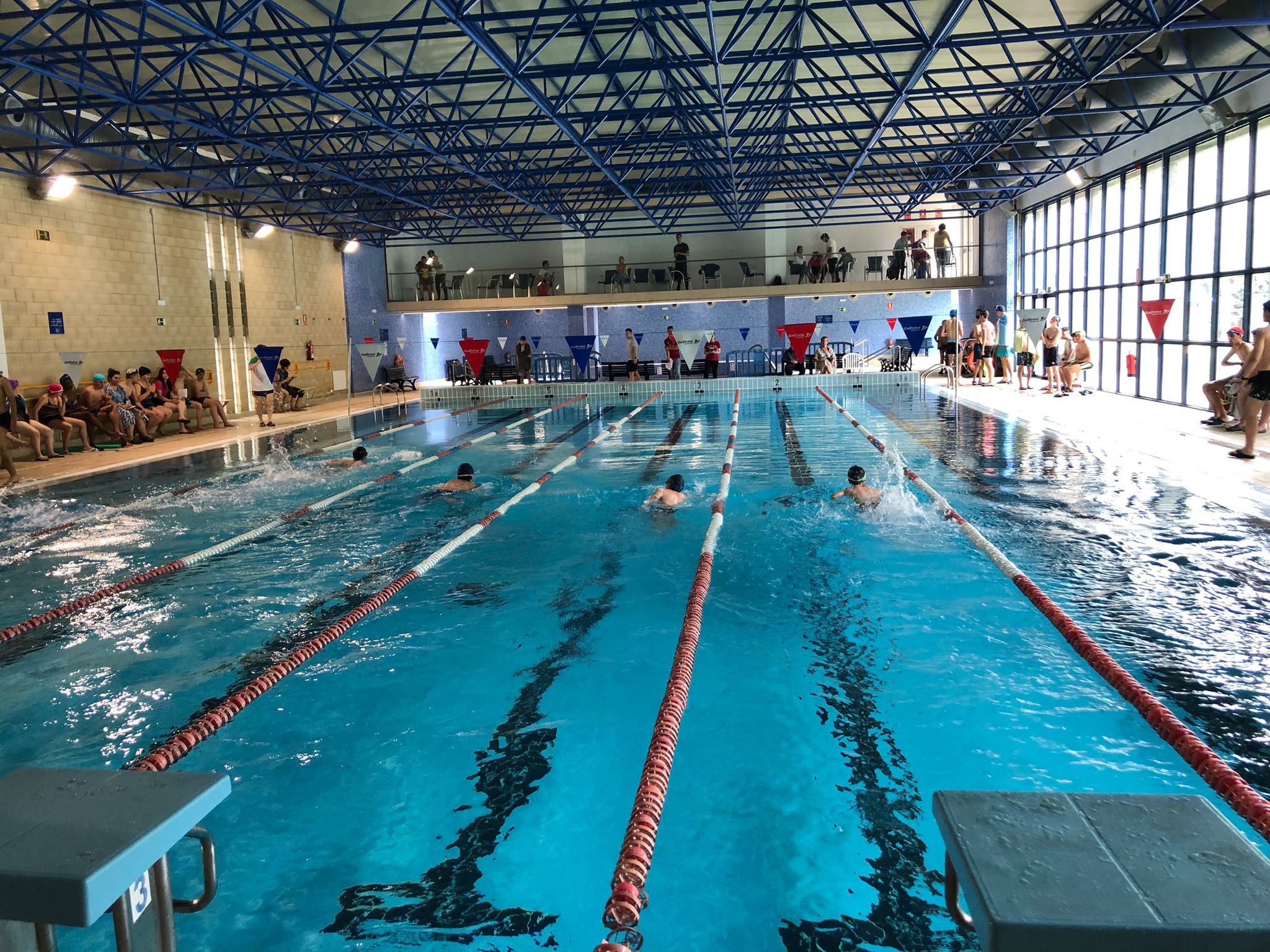 Resultados JDN Natación infantil-júnior y sénior